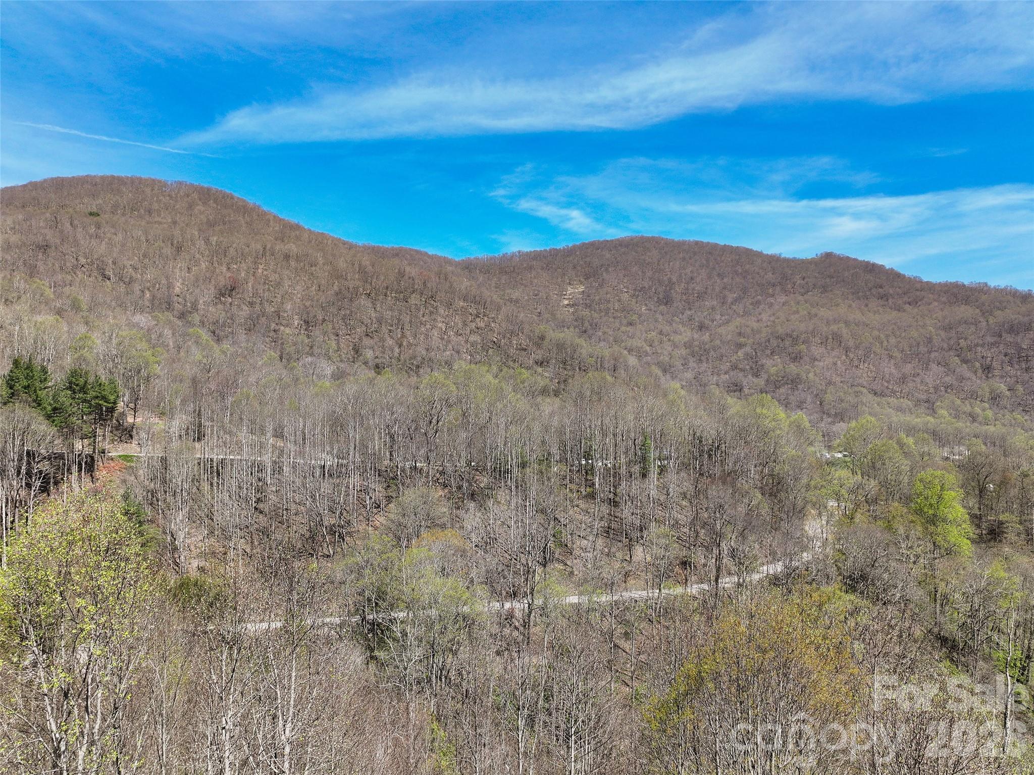 4823 Max Patch Road Clyde NC 28721