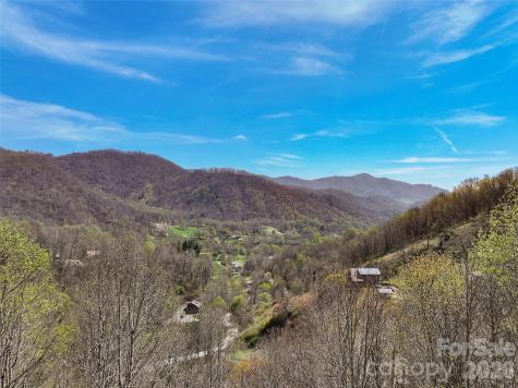 4823 Max Patch Road Clyde NC 28721