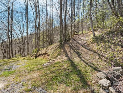 4823 Max Patch Road Clyde NC 28721
