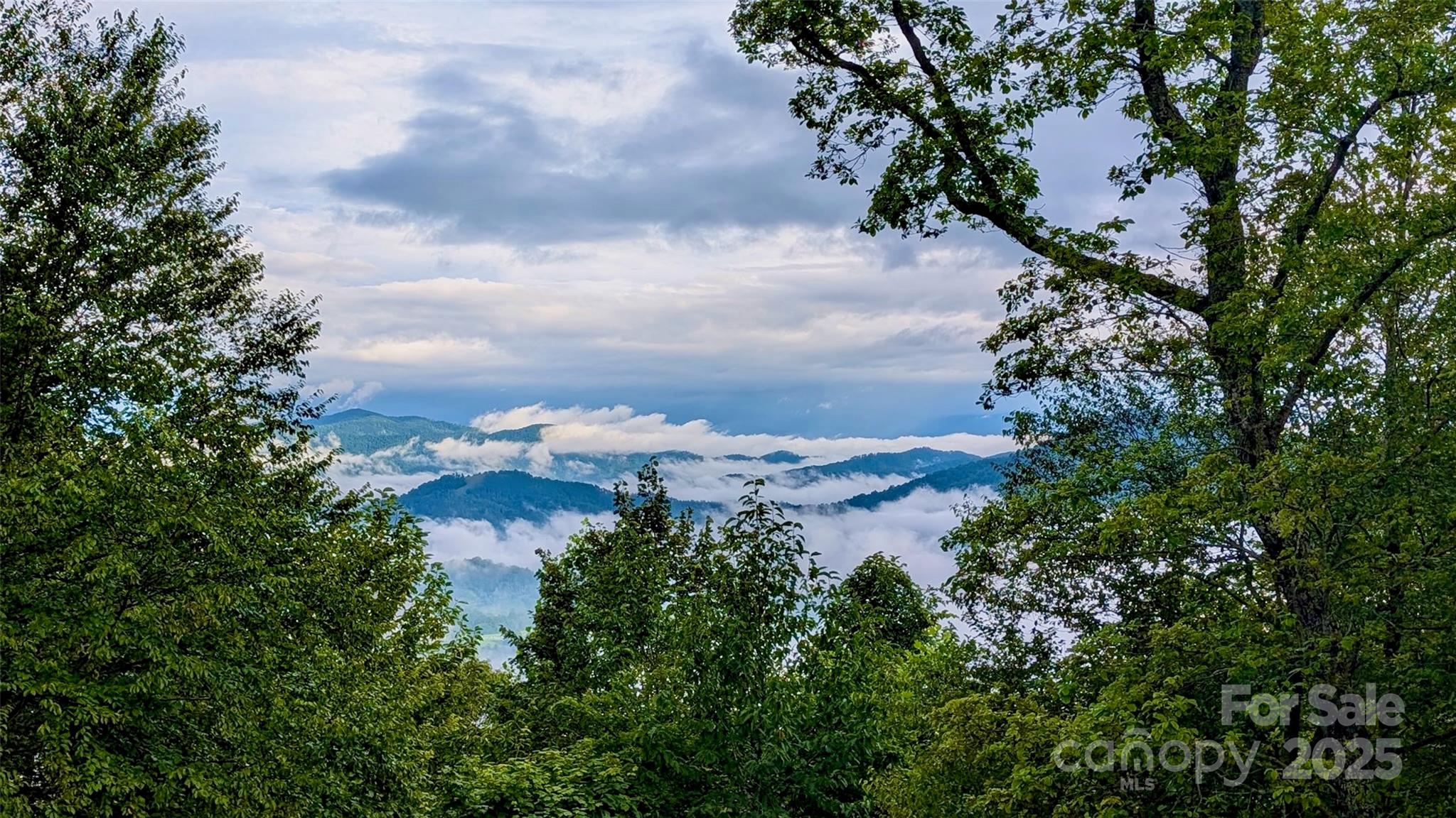 1024 Arrowhead Ridge Road Spruce Pine NC 28777