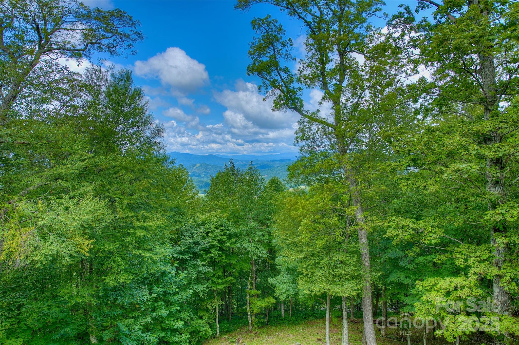 1024 Arrowhead Ridge Road Spruce Pine NC 28777