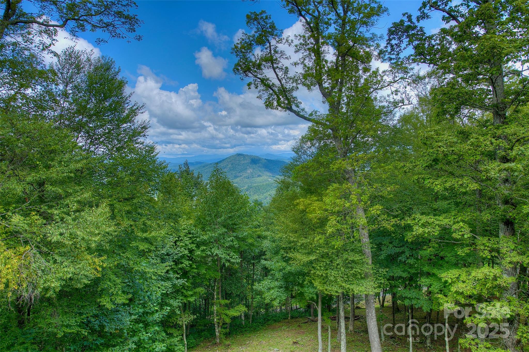 1024 Arrowhead Ridge Road Spruce Pine NC 28777