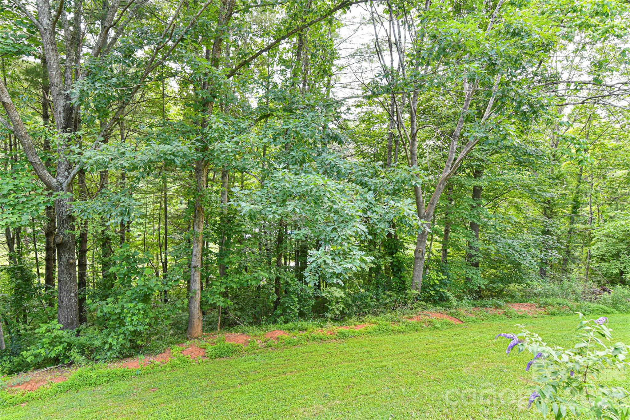 10 Gentry Branch Road Weaverville NC 28787