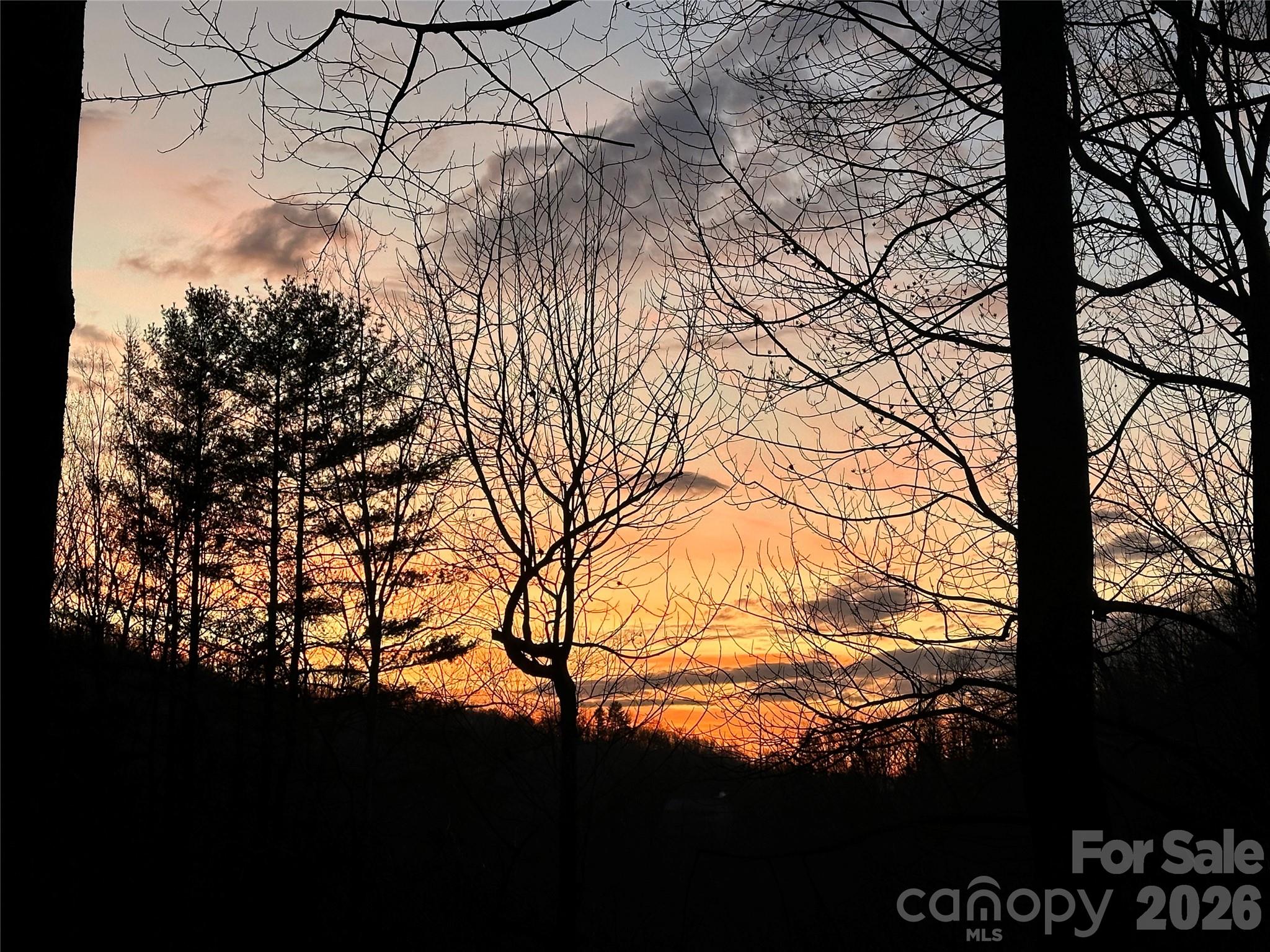 193 Timberside Drive Mars Hill NC 28754
