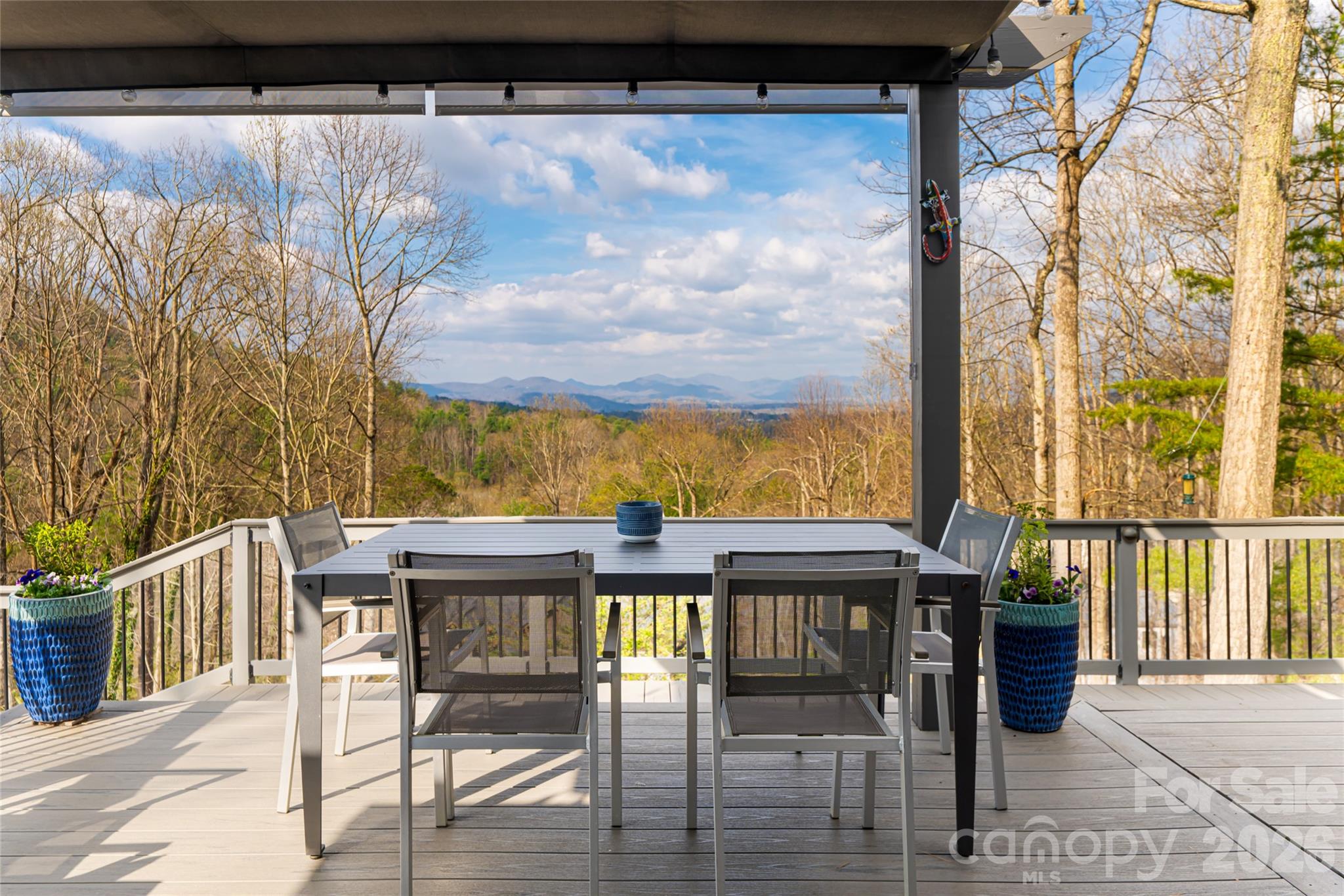 168 Skyview Circle Asheville NC 28804