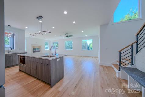 133 S Grove Street Asheville NC 28801