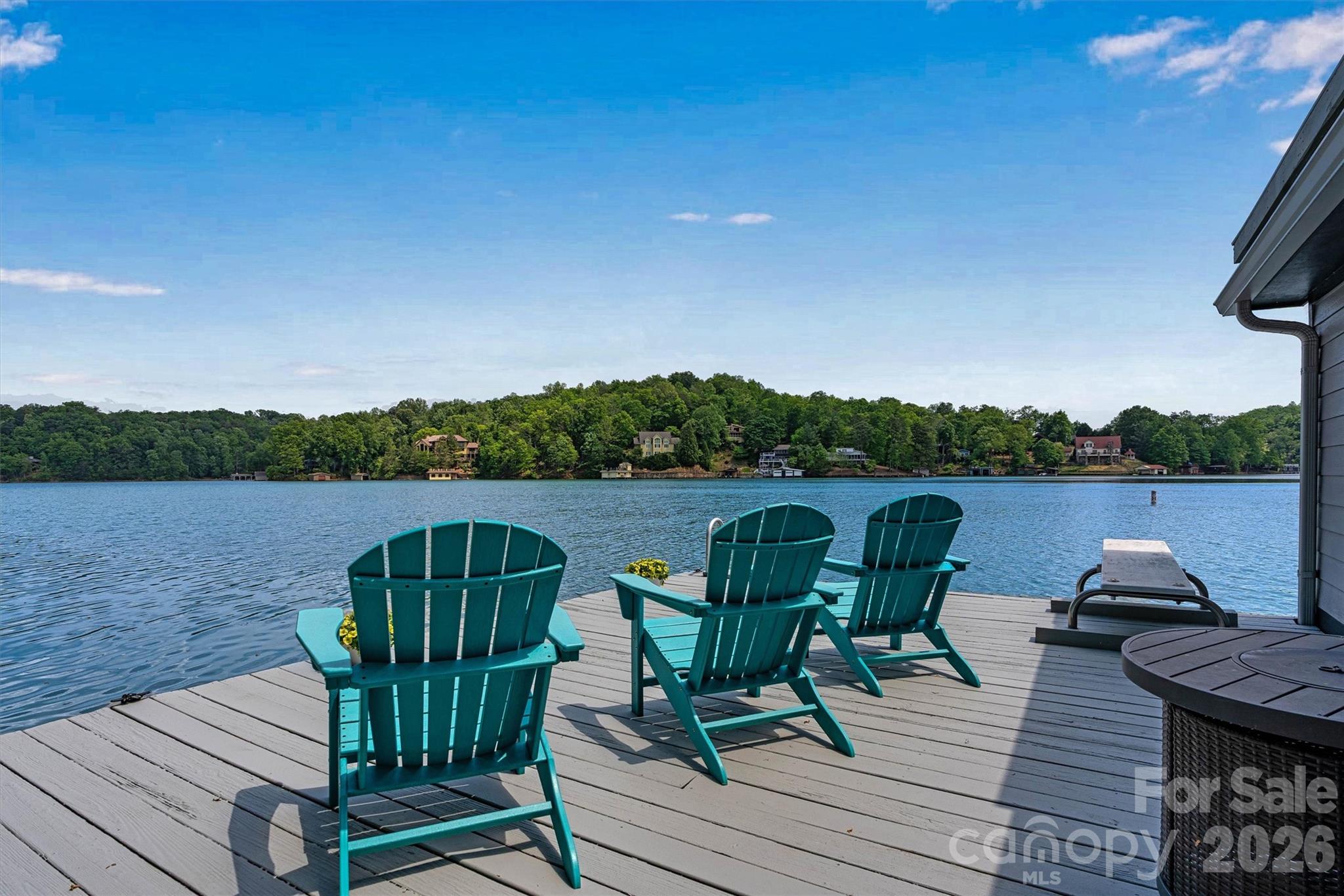 462 Charlotte Drive Lake Lure NC 28746