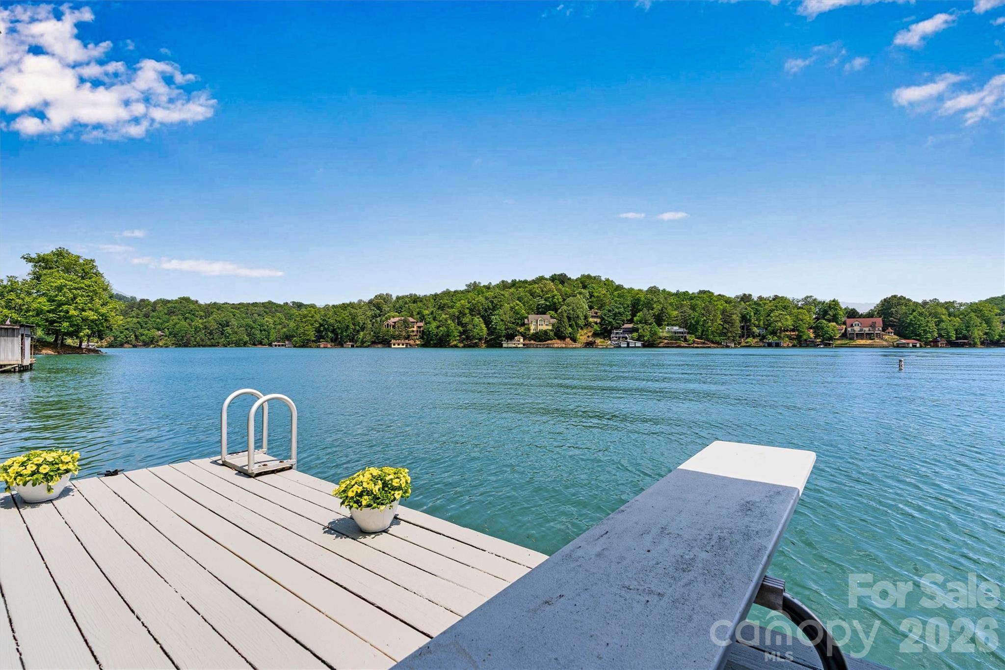 462 Charlotte Drive Lake Lure NC 28746