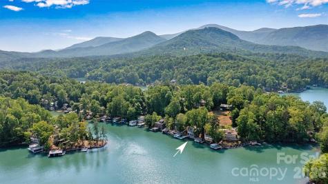 462 Charlotte Drive Lake Lure NC 28746