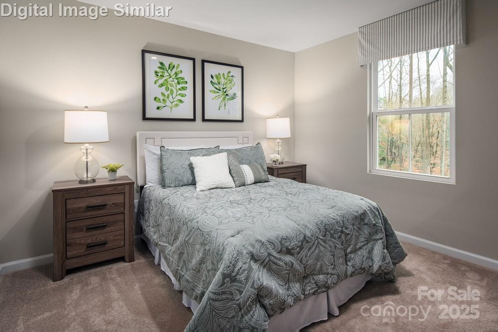 5228 Mccallum Meadows Drive Charlotte NC 28216