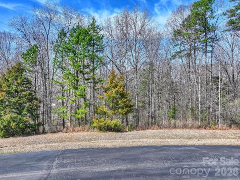 7316 Barrington Ridge Drive Fort Mill SC 29707