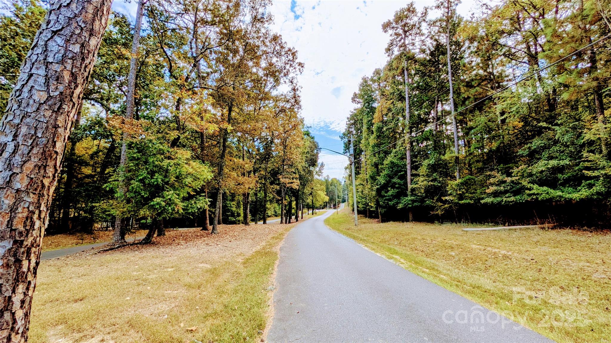 117 Delwood Court Mount Gilead NC 27306