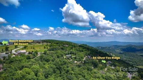 94 Silver Fox Ridge Beech Mountain NC 28604