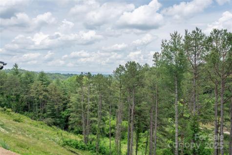 233 Westridge Farm Road Asheville NC 28804