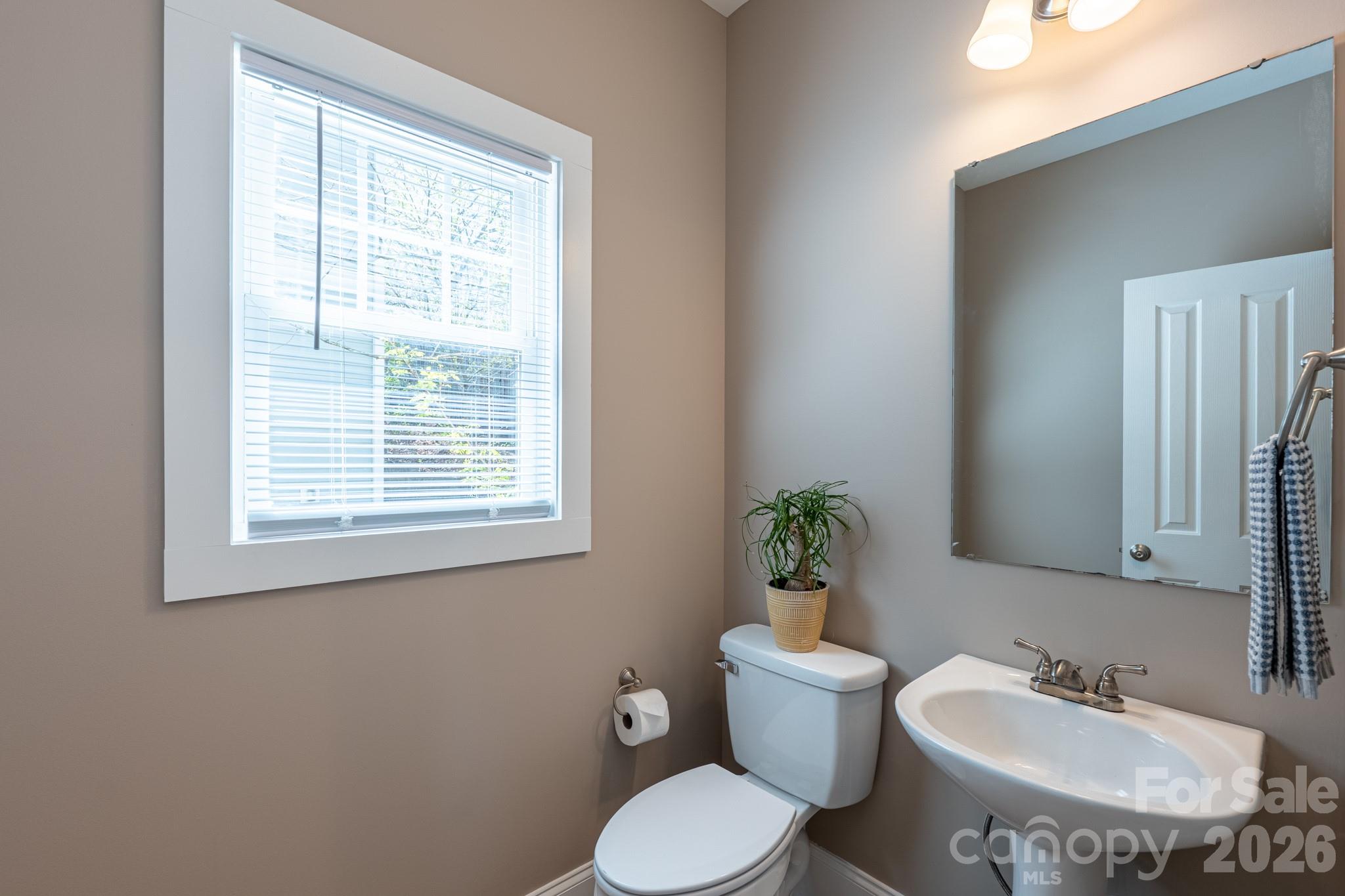 4 Cottage Court Asheville NC 28801