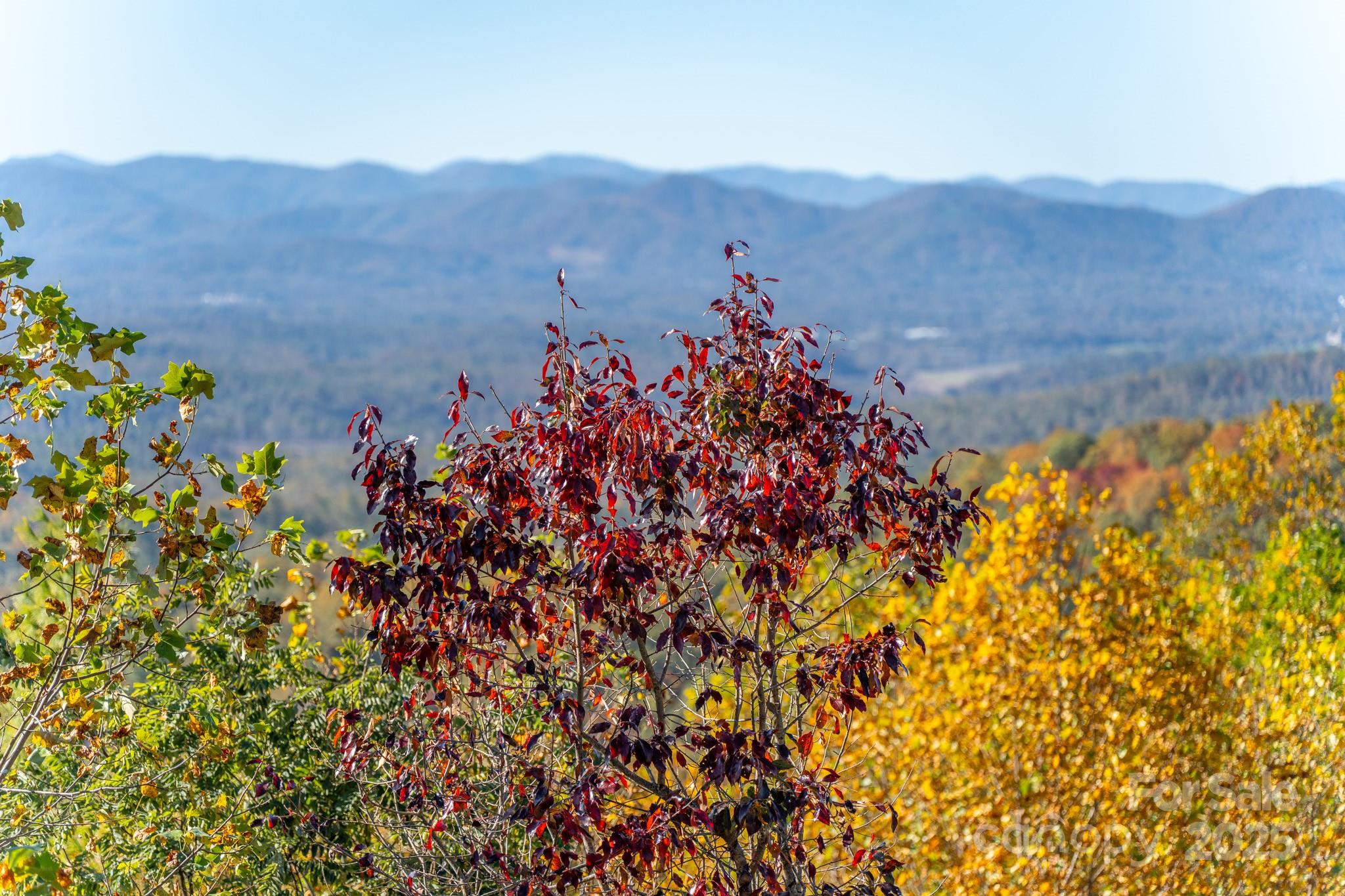 117 Distant View Drive Asheville NC 28803