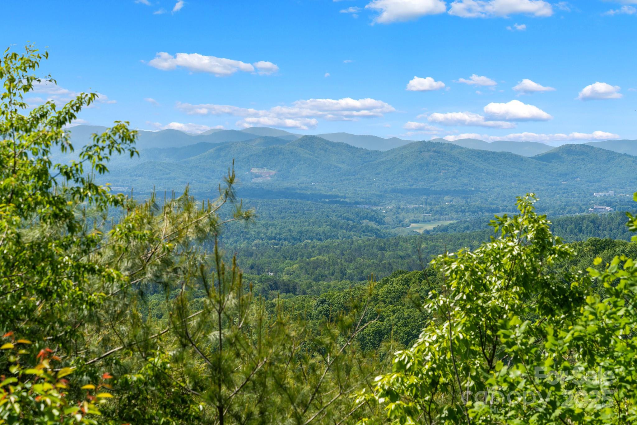 117 Distant View Drive Asheville NC 28803