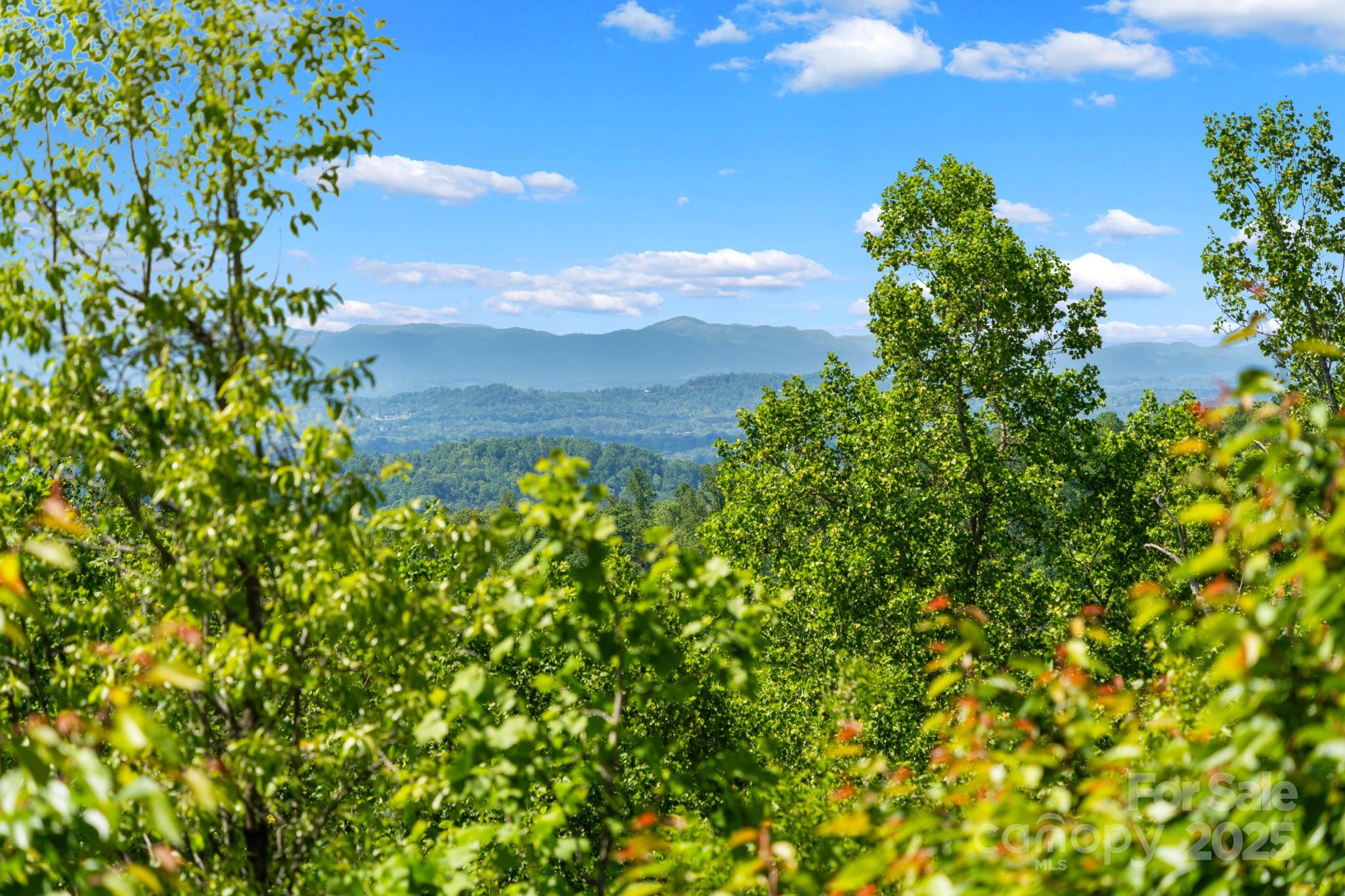 117 Distant View Drive Asheville NC 28803