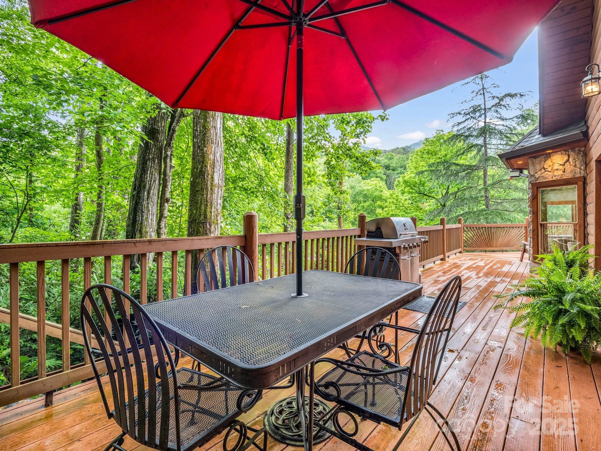 120 Rocky Mountain Drive Lake Lure NC 28746
