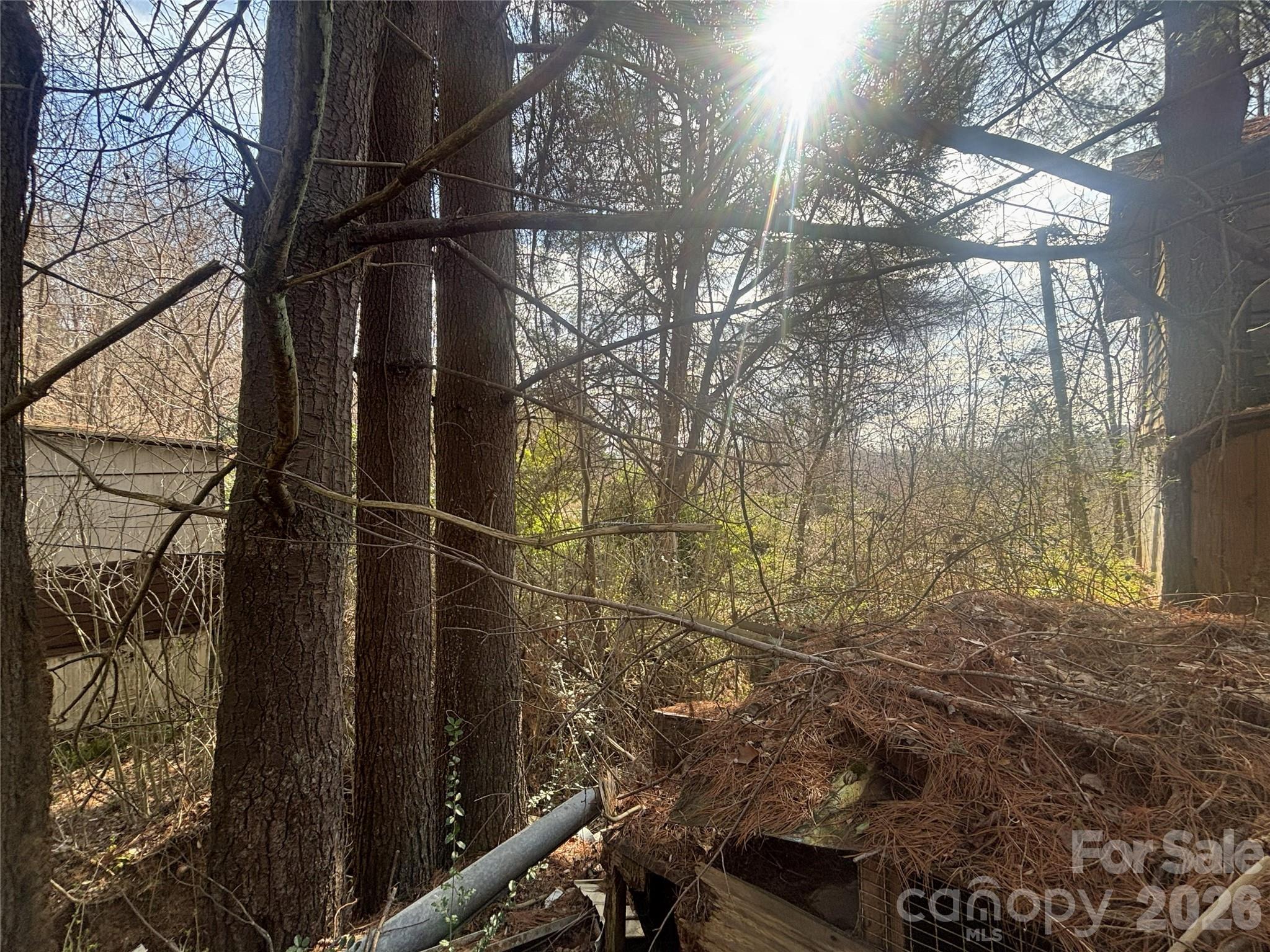124 Candler Knob Road Asheville NC 28806