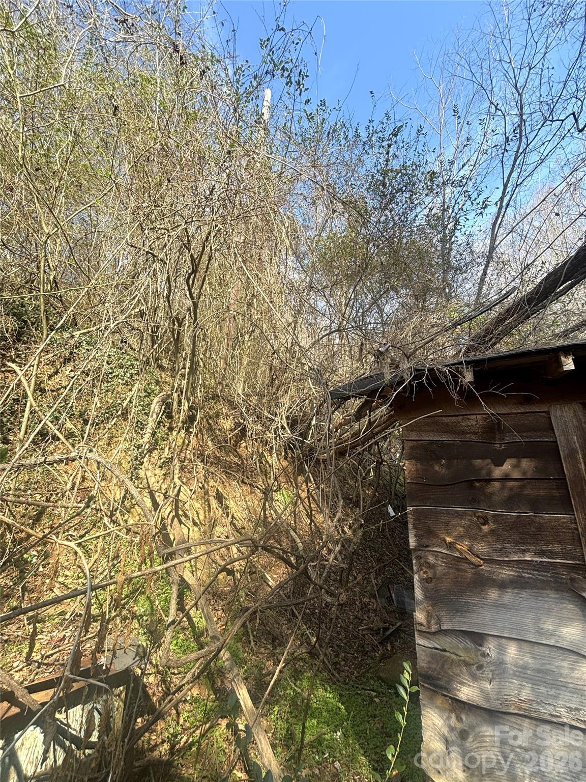 124 Candler Knob Road Asheville NC 28806