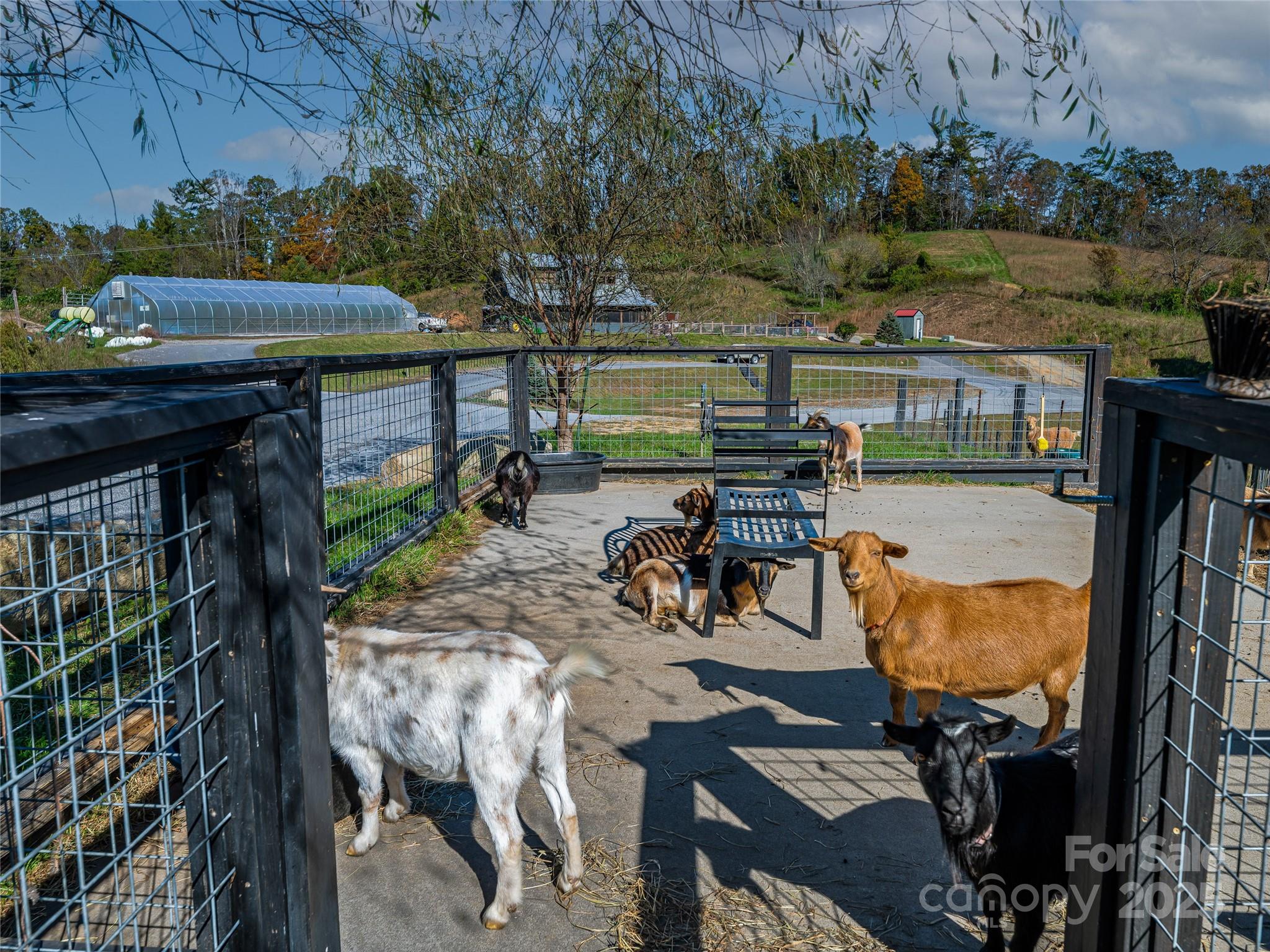 502 Wilma Dykeman Trail Asheville NC 28804