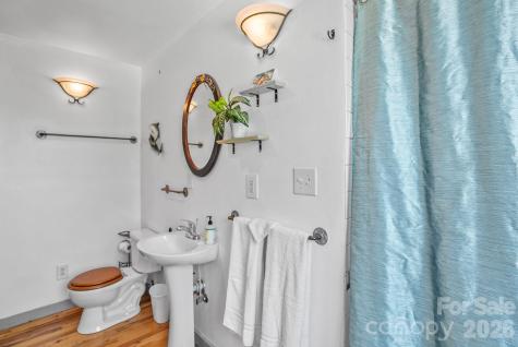 310 Burr Ridge Marshall NC 28753