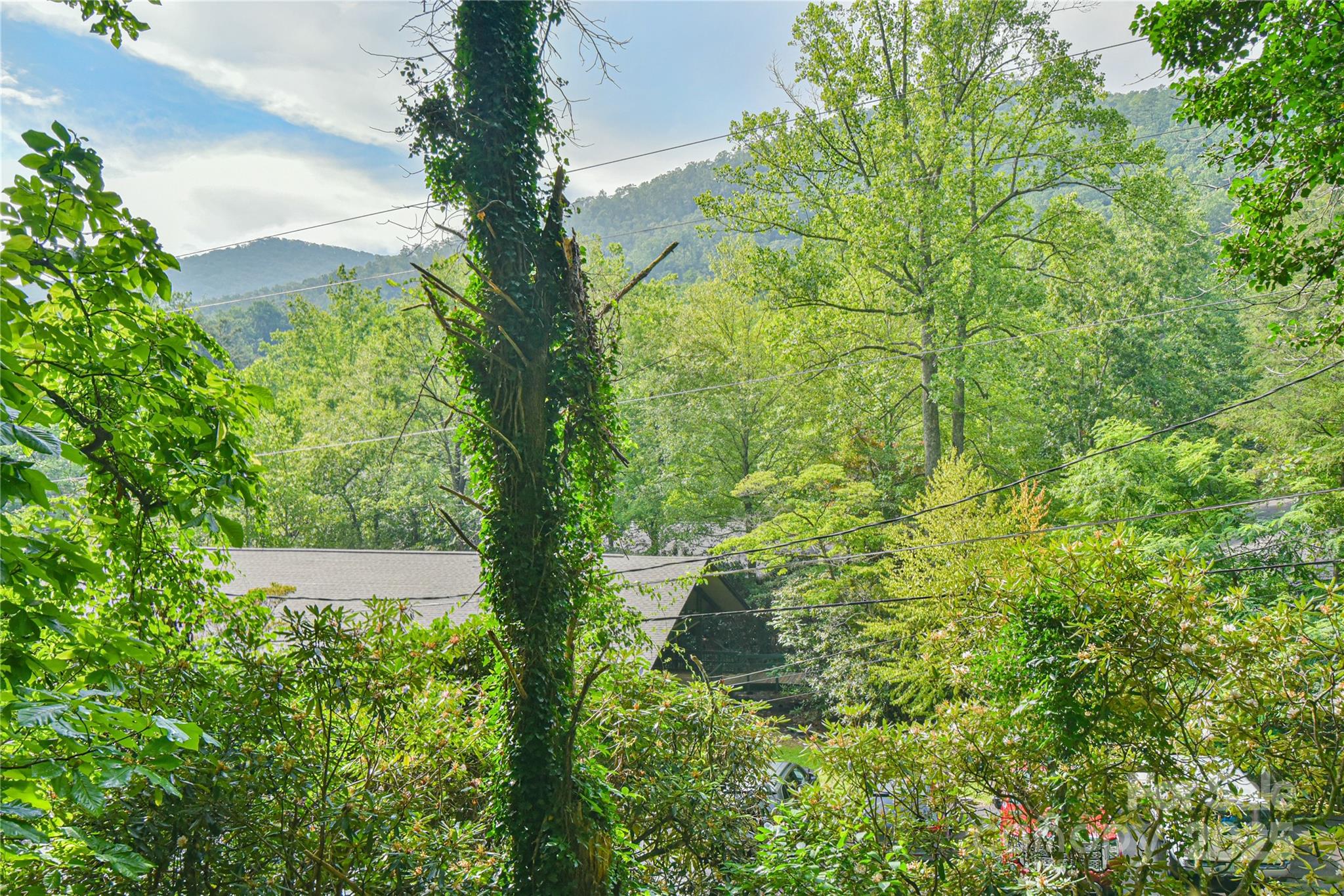 328 Texas Road Montreat NC 28757