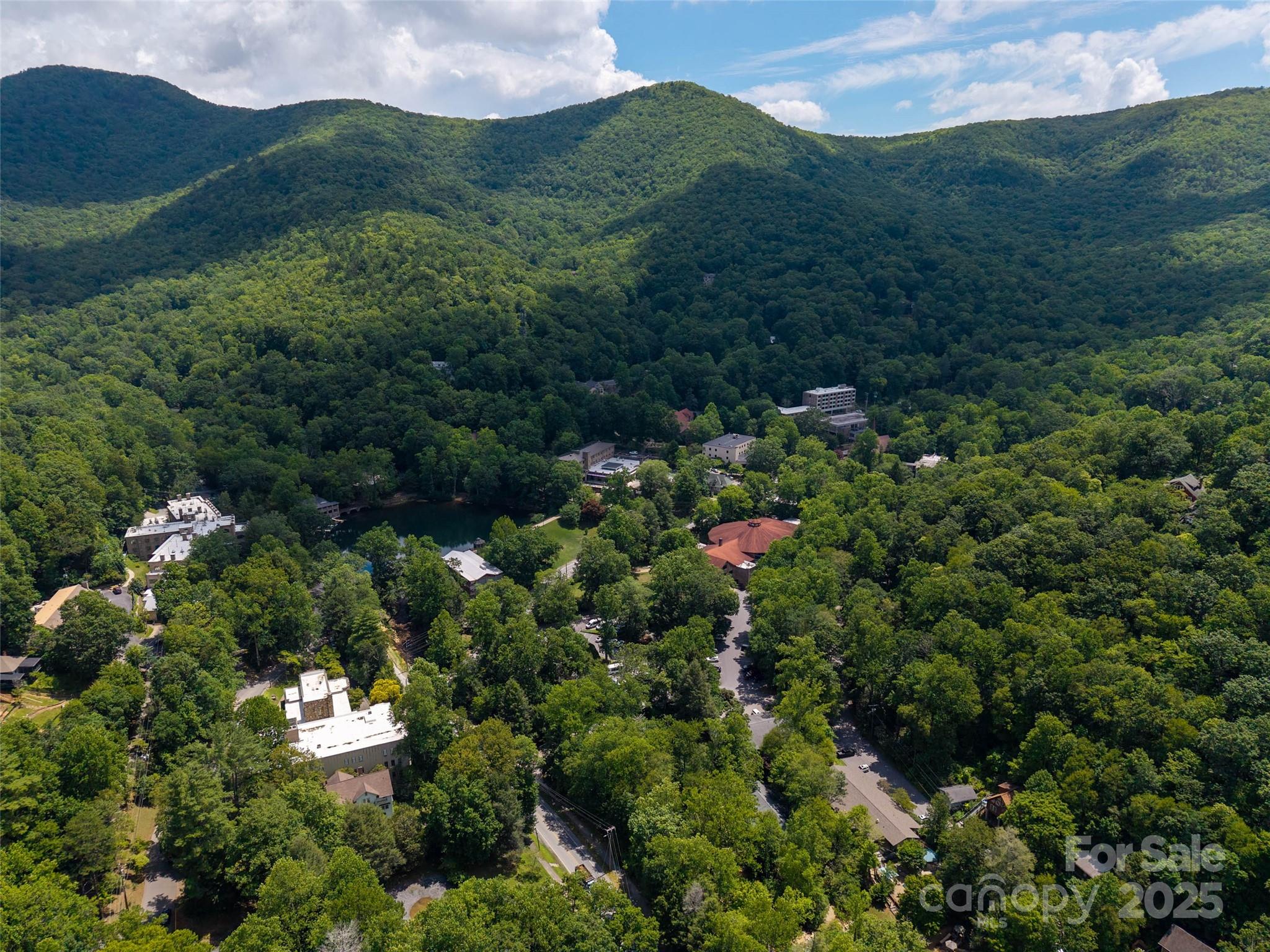 328 Texas Road Montreat NC 28757