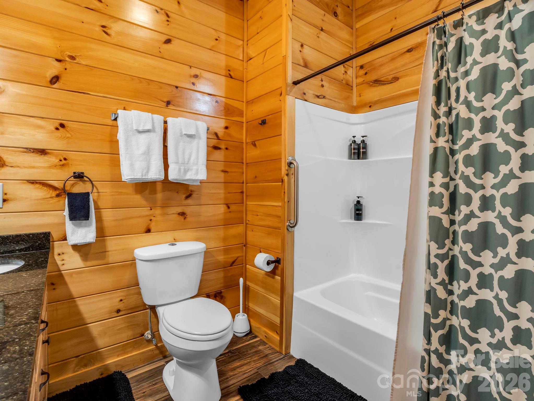 1029 Rainbow Circle Lake Lure NC 28746