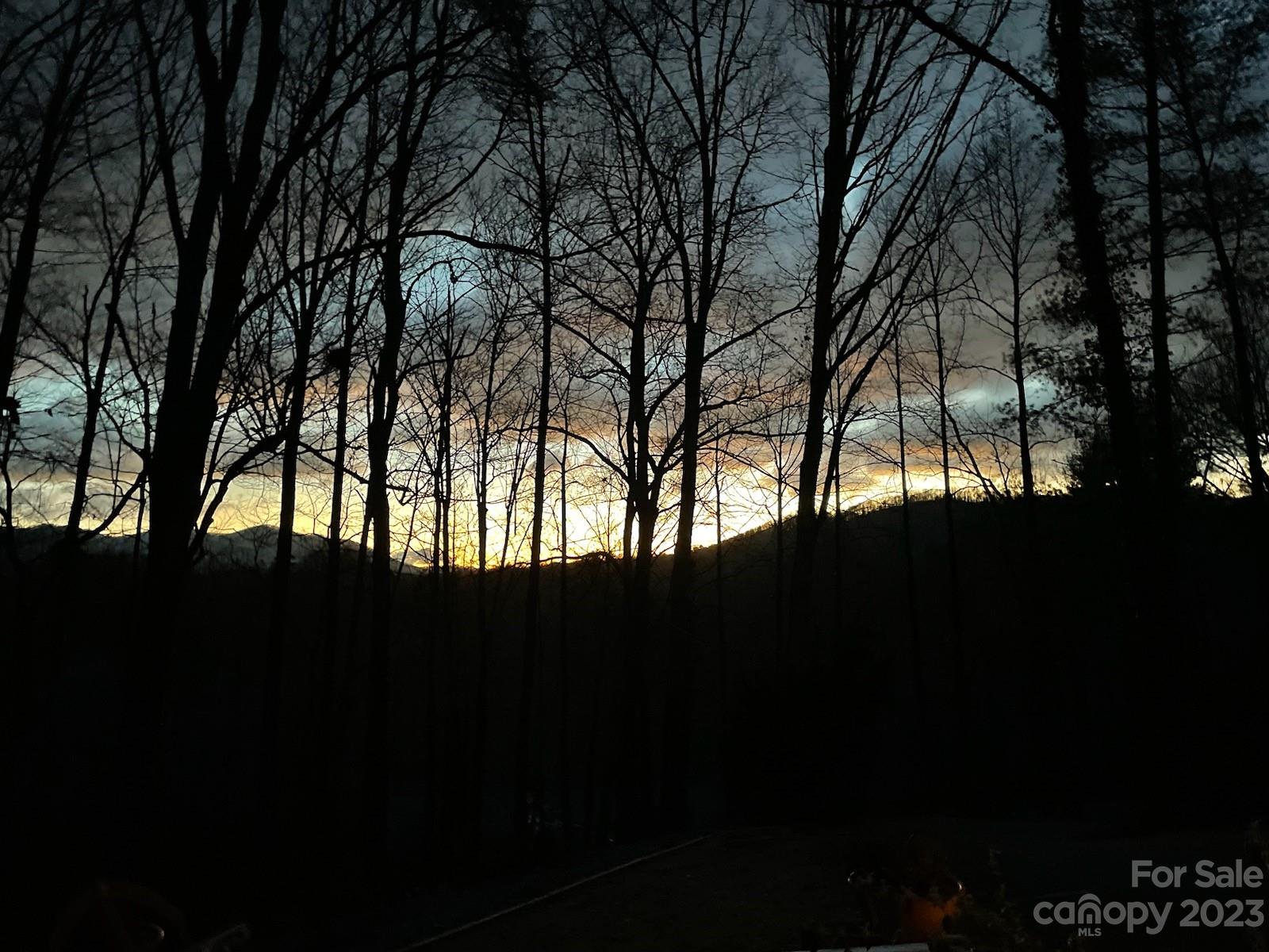 42 Springwood Drive Asheville NC 28805
