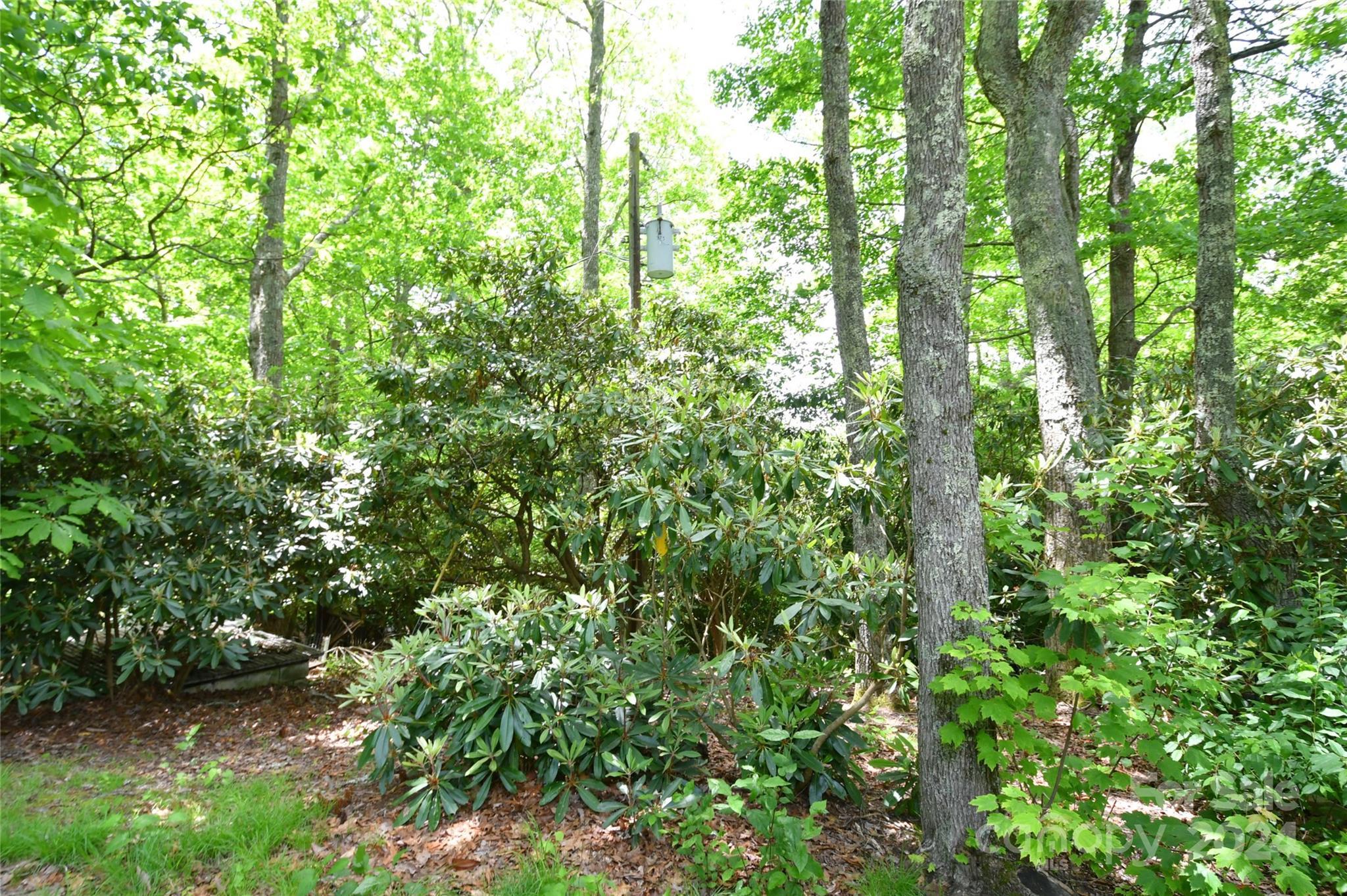 70 Redbird Lane Newland NC 28657