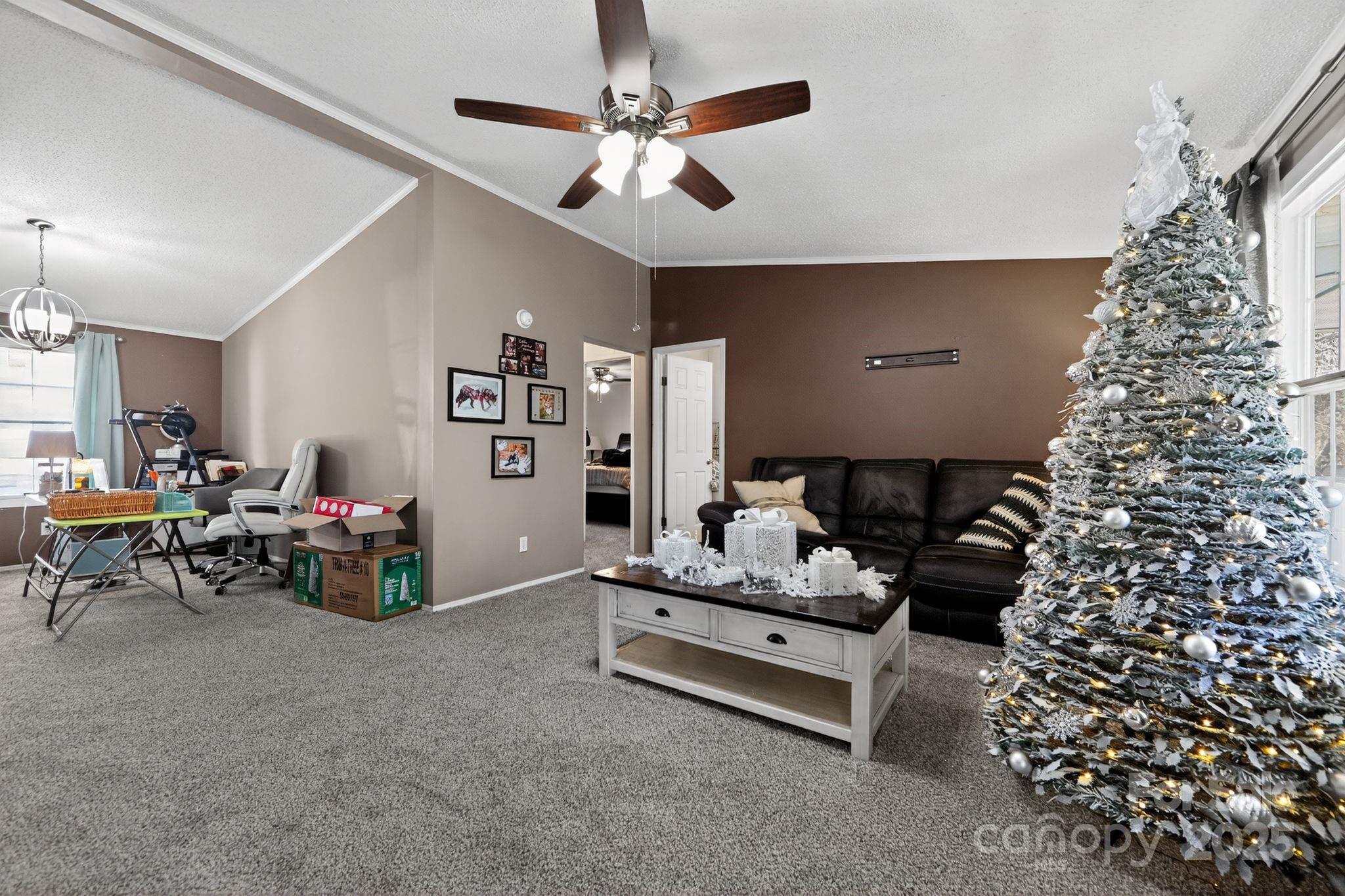 19 Morton Lane Asheville NC 28806