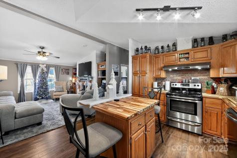 19 Morton Lane Asheville NC 28806