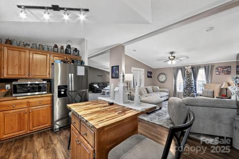 19 Morton Lane Asheville NC 28806