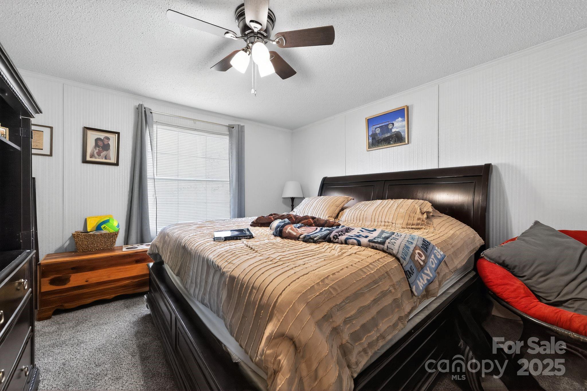 19 Morton Lane Asheville NC 28806