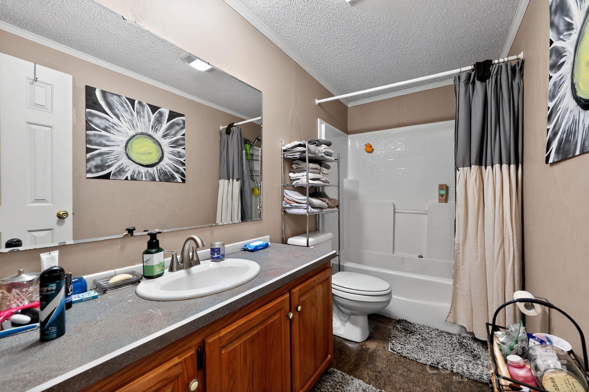 19 Morton Lane Asheville NC 28806