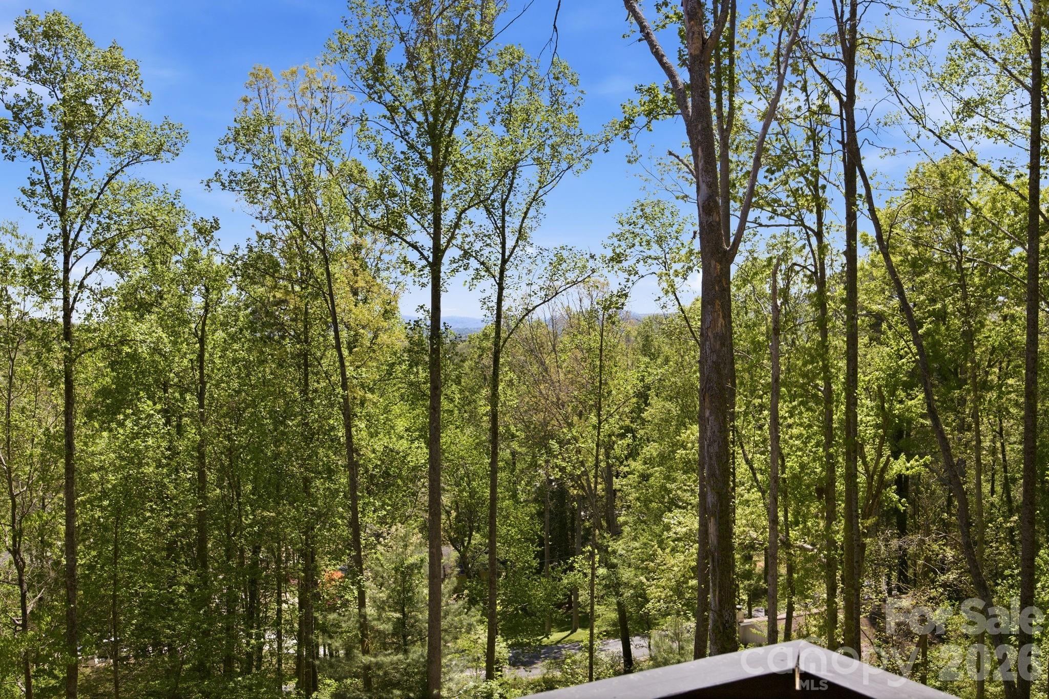 102 Sandpiper Palisades Street Hendersonville NC 28792