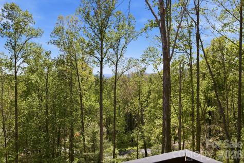 102 Sandpiper Palisades Street Hendersonville NC 28792