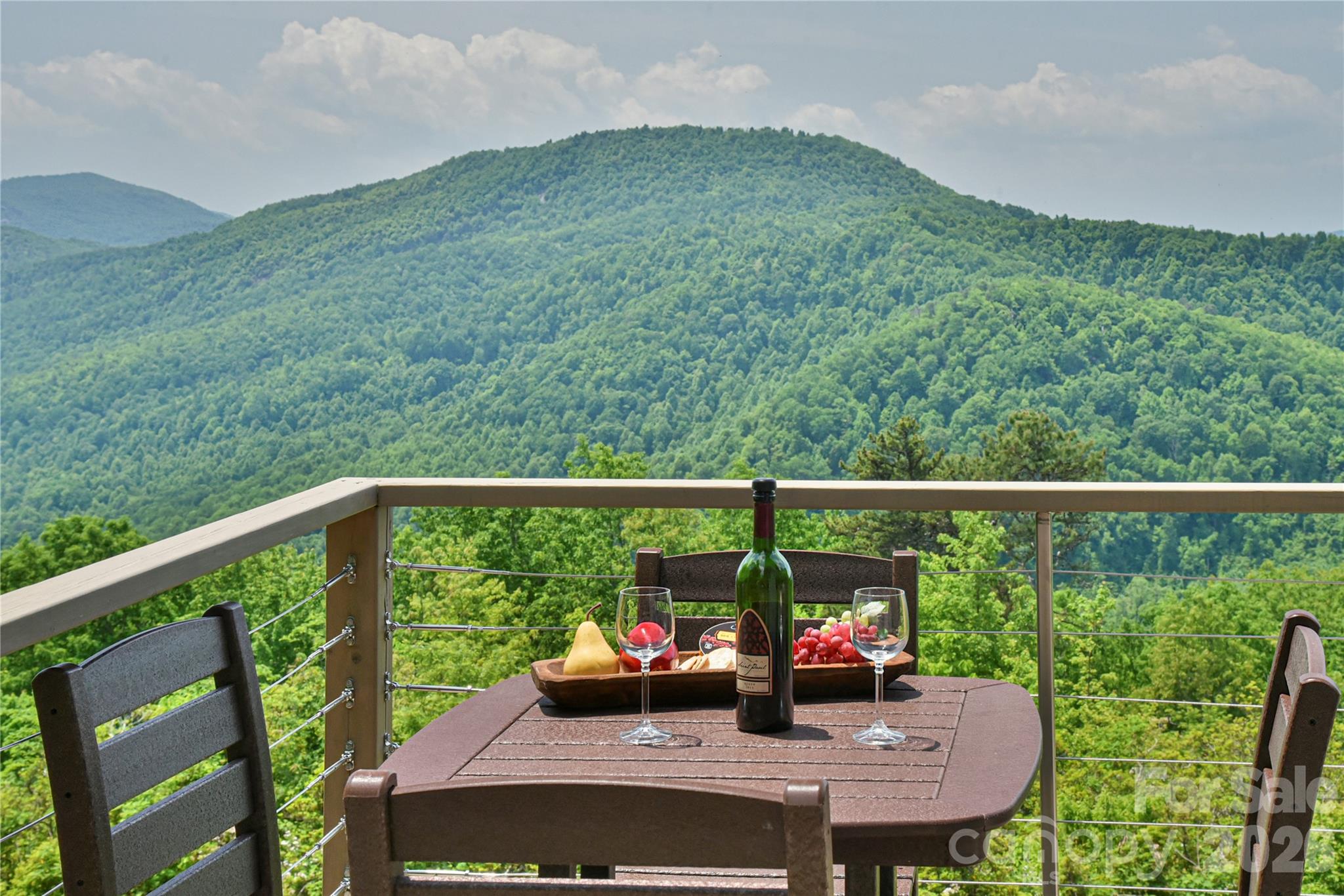 41 High Cliffs Trail Black Mountain NC 28711