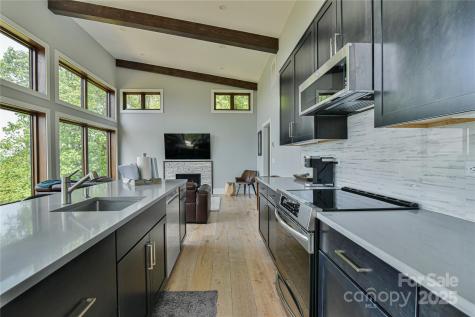 41 High Cliffs Trail Black Mountain NC 28711
