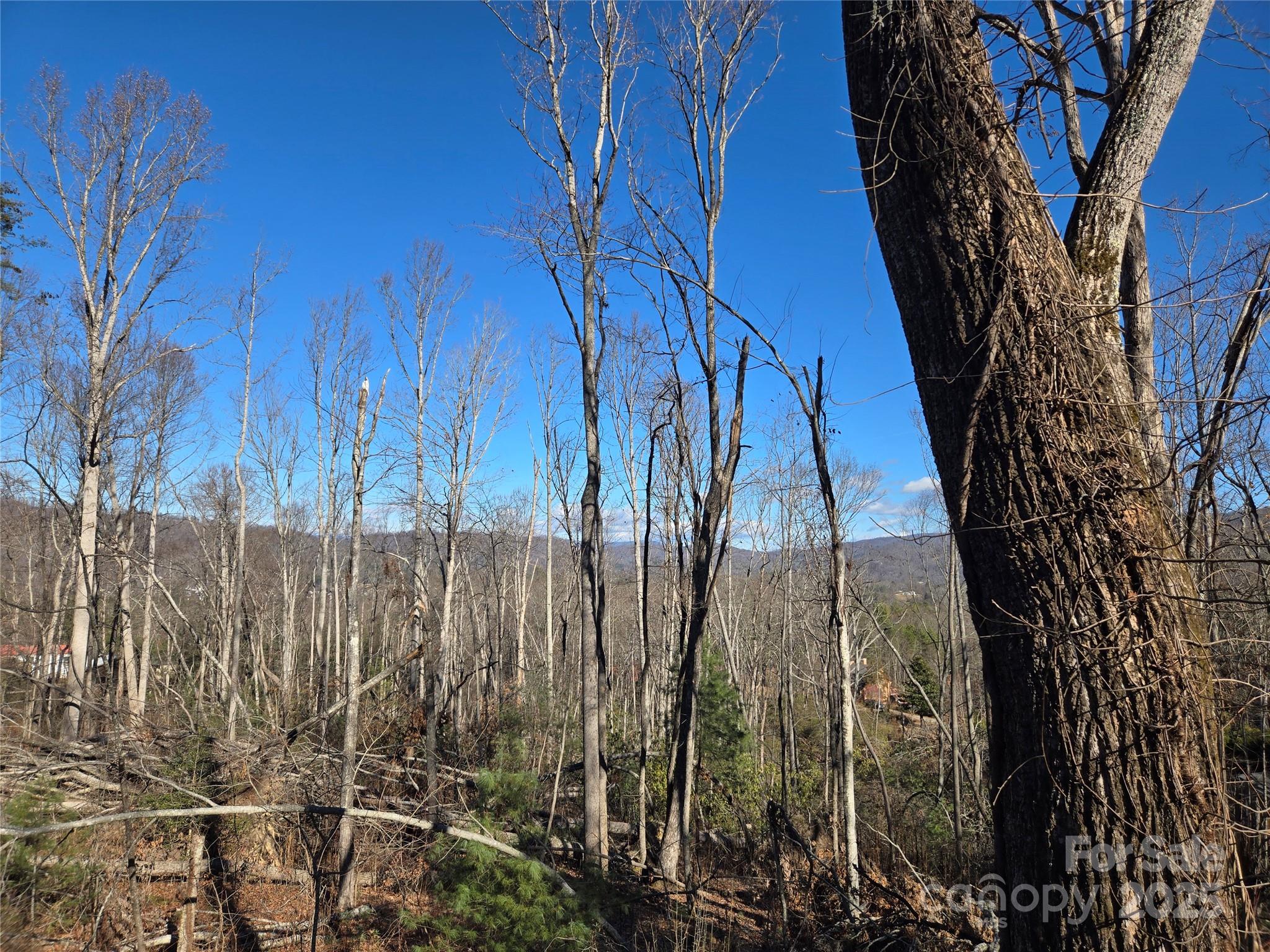 211 Holly Mountain Lane Fletcher NC 28732