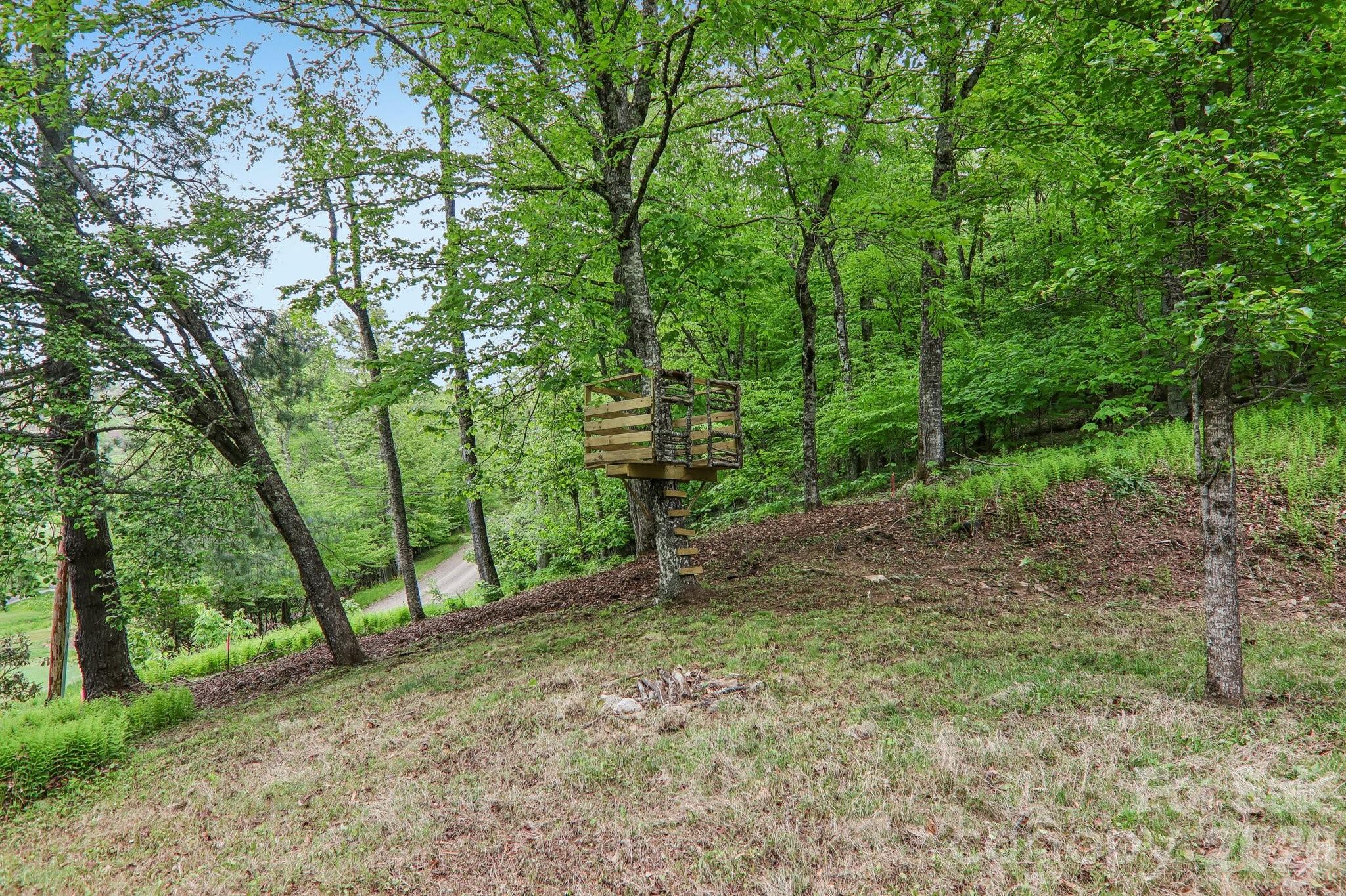 210 Spring Valley Drive Mars Hill NC 28754