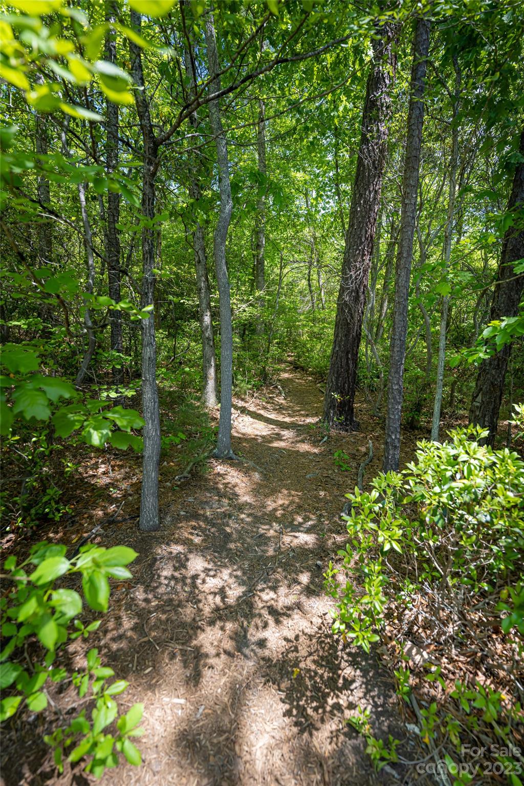 2 Turkey Roost Court Fairview NC 28730