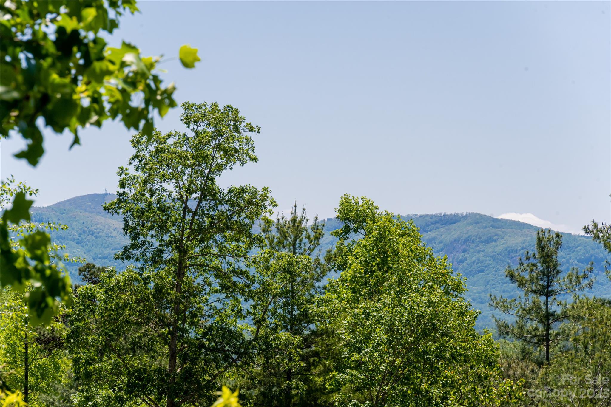 2 Turkey Roost Court Fairview NC 28730