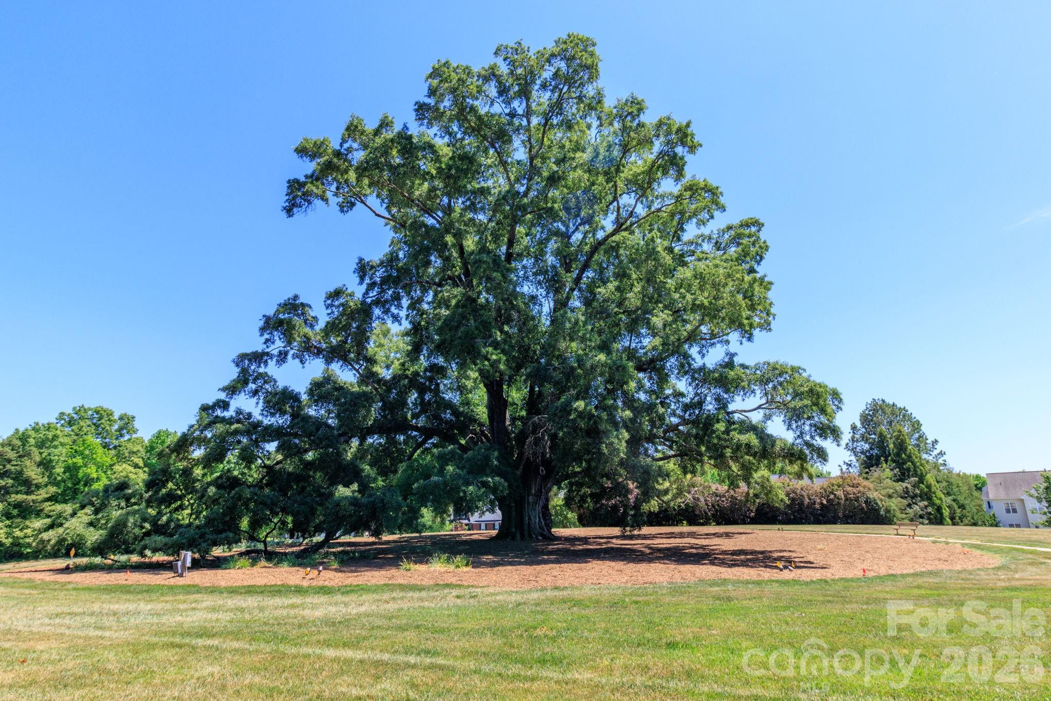 10011 King George Lane Waxhaw NC 28173