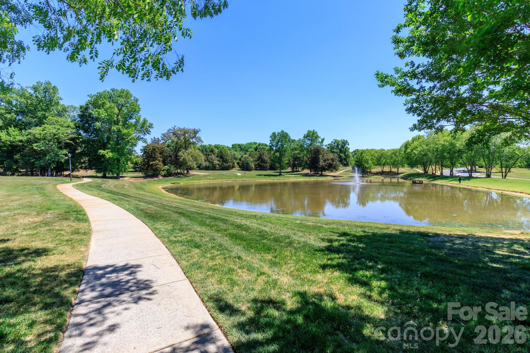 10011 King George Lane Waxhaw NC 28173