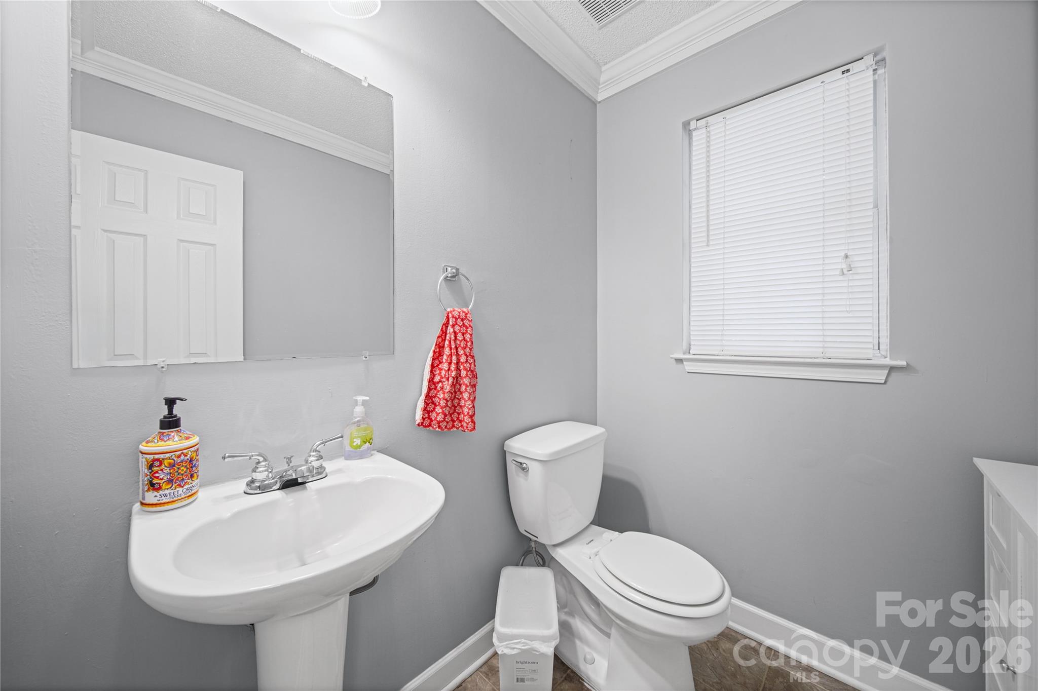 1309 Winding Branch Court Charlotte NC 28216
