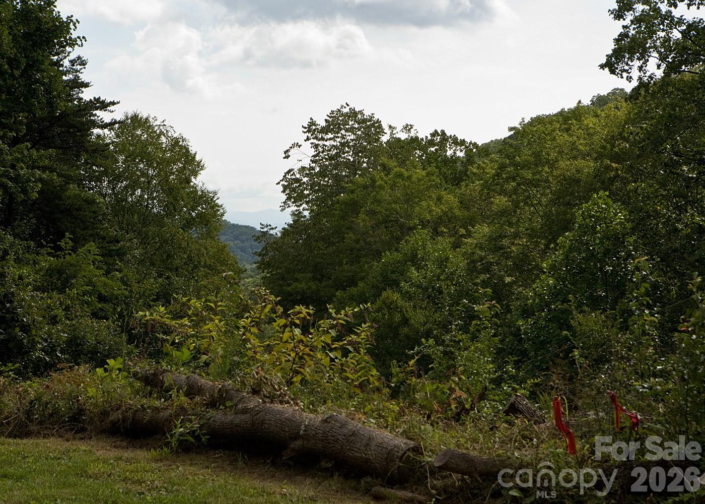 165 Peepeye Cove Road Leicester NC 28748