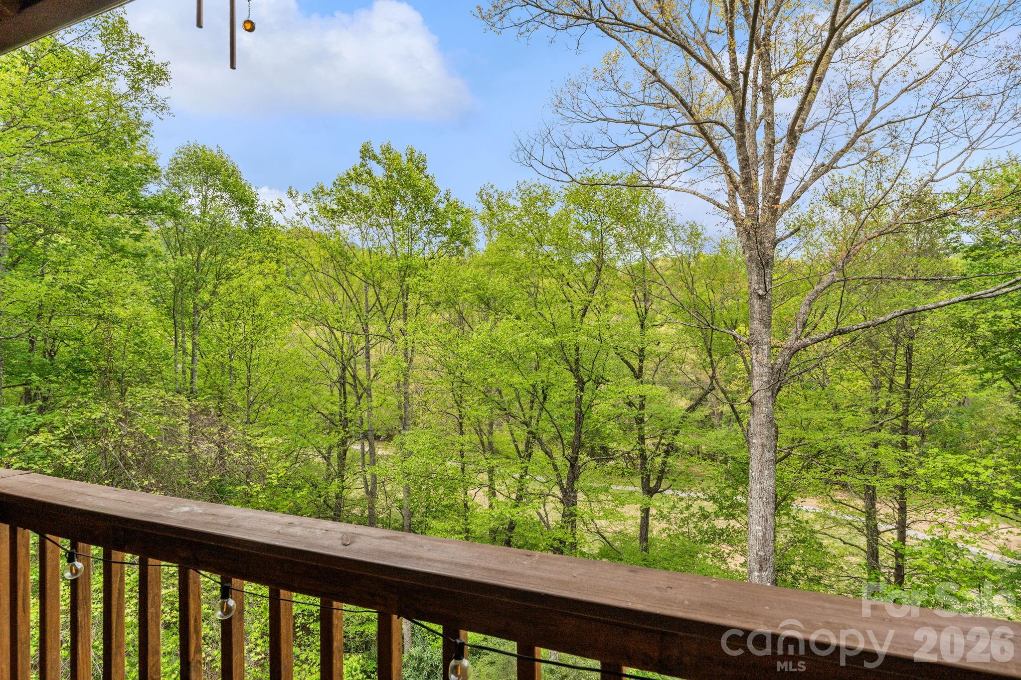 965 Winterstar Loop Burnsville NC 28714